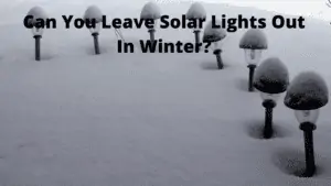can you leave solar lights out in winter